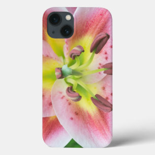 Washington, Bellevue, Lily iPhone 13 Case