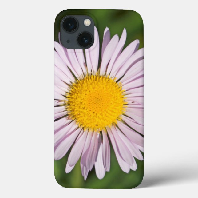 Washington, Cascade Range, Mount Baker Case-Mate iPhone Case (Back)