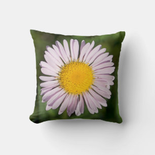 Washington, Cascade Range, Mount Baker Cushion