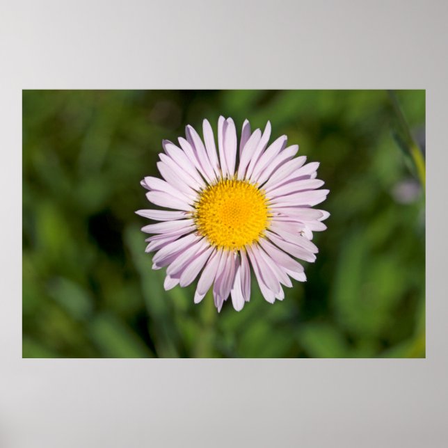 Washington, Cascade Range, Mount Baker Poster (Front)