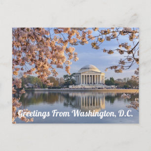 Washington D.C. Jefferson Memorial Postcard