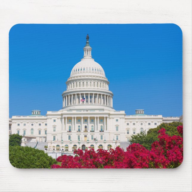 Washington D.C. Mouse Pad (Front)