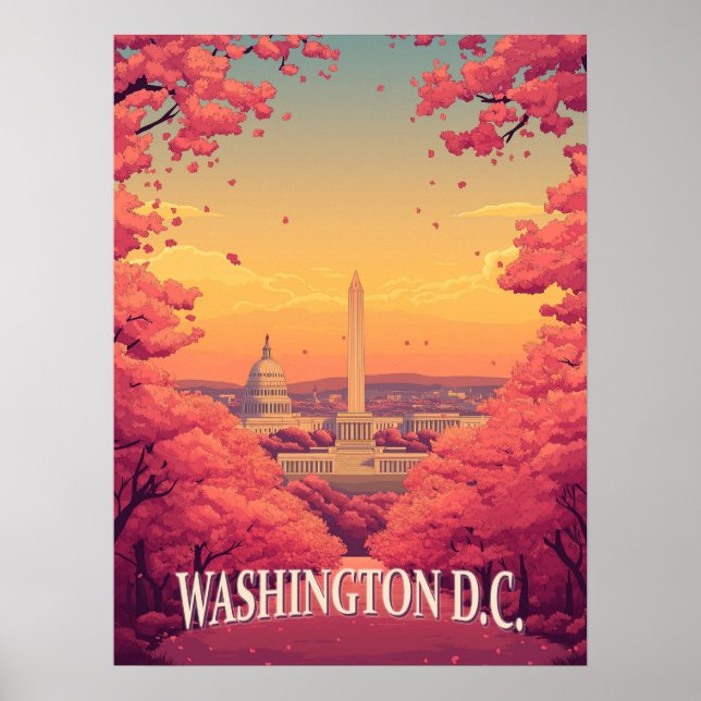 Washington D.C.  Poster (Front)
