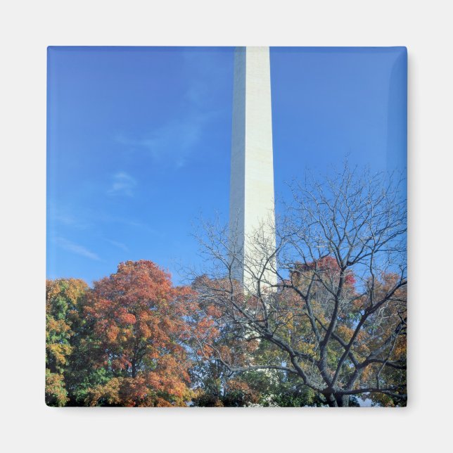 WASHINGTON, D.C. USA. Washington Monument rises Magnet (Front)
