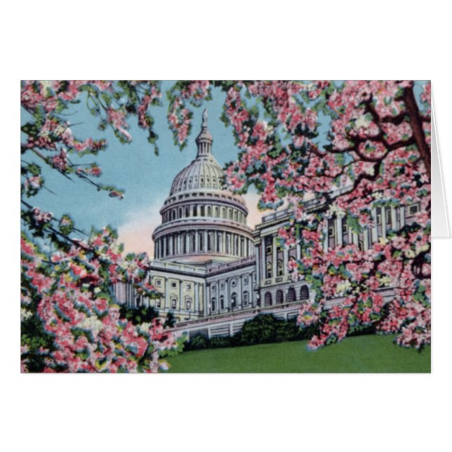 Washington DC Capitol Hill Cherry Blossoms (Front Horizontal)
