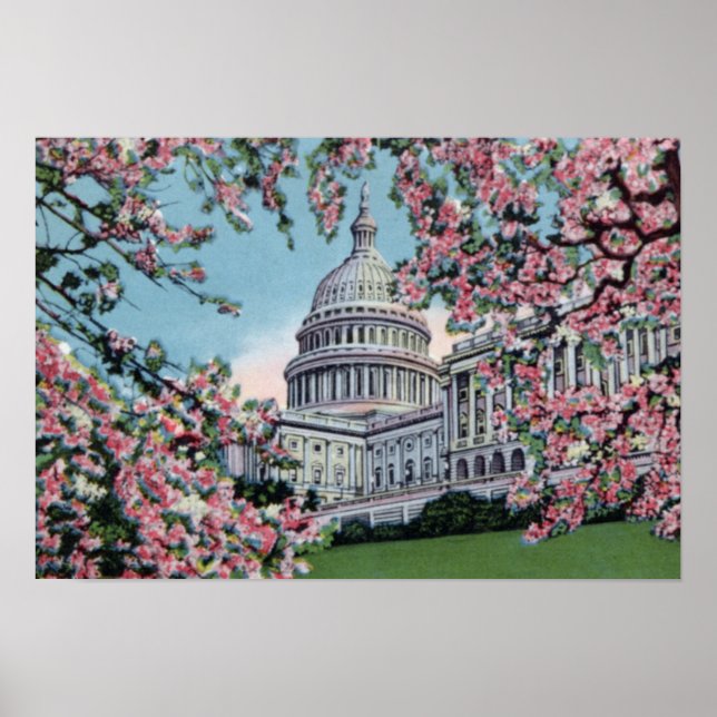 Washington DC Congress Capitol Hill Cherry Blossom Poster (Front)