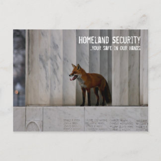Washington, DC:  Homeland Security Humour Postcard
