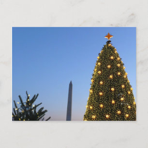 Washington DC National Christmas Tree Dusk Holiday Postcard