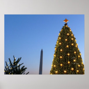 Washington DC National Christmas Tree Dusk Poster