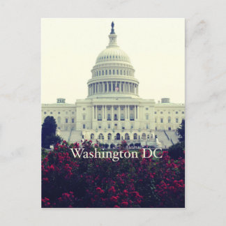 Washington DC Postcard