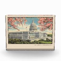Washington DC Postcard US Capitol Cherry Blossoms