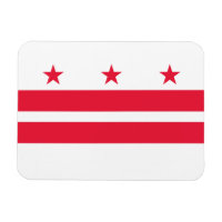 Washington DC State Flag