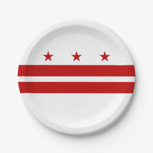 Washington DC State Flag Paper Plate