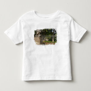 Washington, DC, statue of George Washington, The Toddler T-Shirt