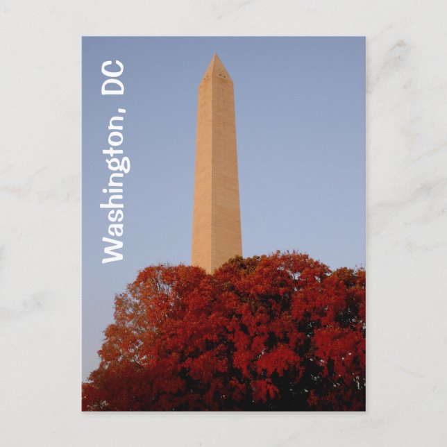 Washington, DC:  Washington Monument in Fall Postcard (Front)