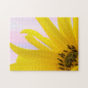 Washington. Detail of sunflower blossom 1 Jigsaw Puzzle