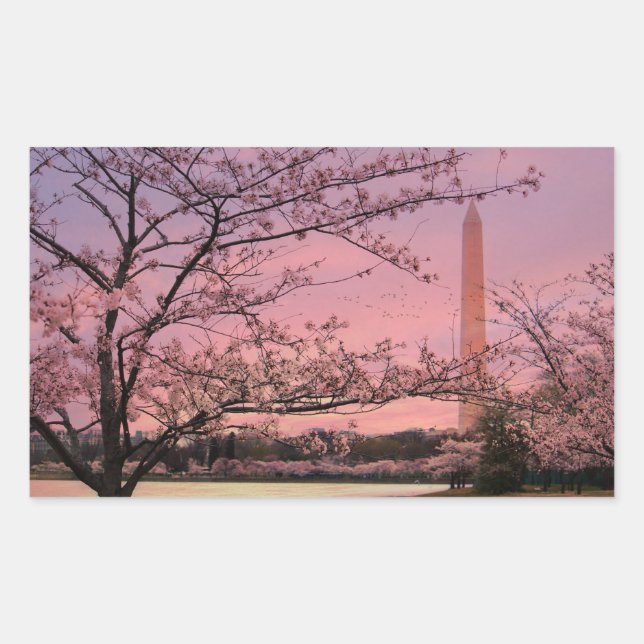 Washington Monument Cherry Blossom Festival Rectangular Sticker (Front)