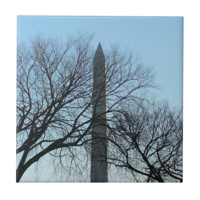 Washington Monument in Winter I Landscape Tile (Front)