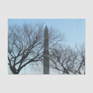 Washington Monument in Winter I Landscape Tissue Paper