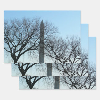Washington Monument in Winter I Landscape Wrapping Paper Sheet
