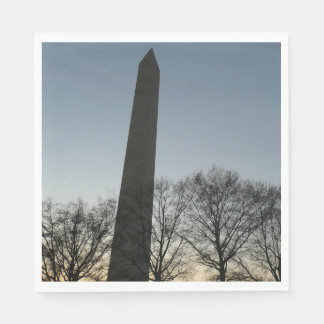 Washington Monument in Winter II Landscape Napkin