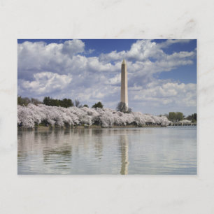 WASHINGTON MONUMENT LITHOGRAPH POSTCARD