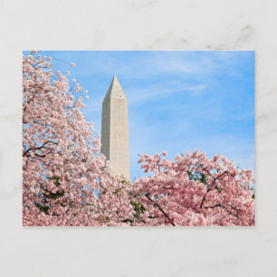 Washington Monument Postcard