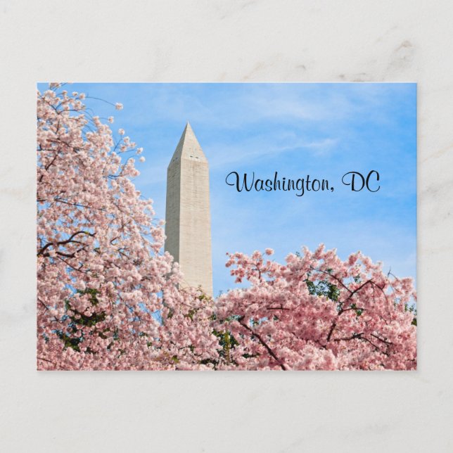 Washington Monument Postcard (Front)