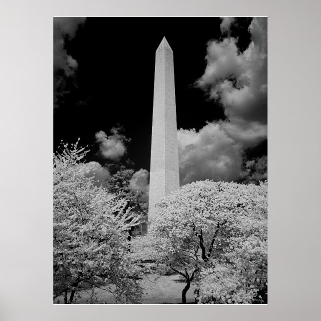 Washington Monument Poster (Front)