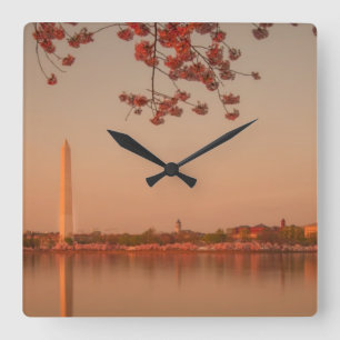 Washington Monument Sakura at sunset. Square Wall Clock
