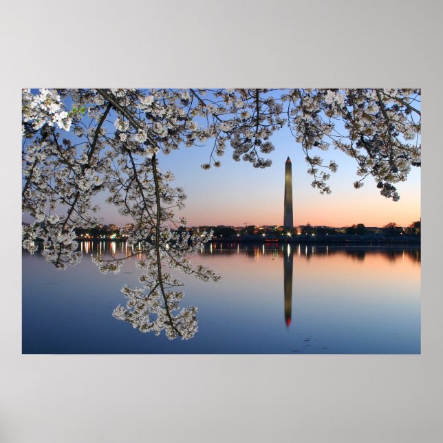 Washington Monument Spring Morning Poster (Front)