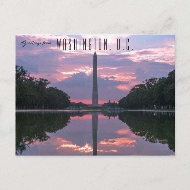 Washington Monument Washington D.C. Postcard (Front)