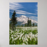 Washington, Mount Rainier National Park 1