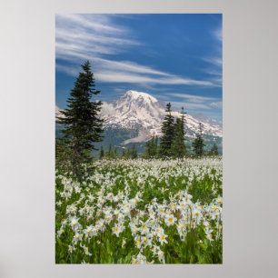 Washington, Mount Rainier National Park 1 Poster