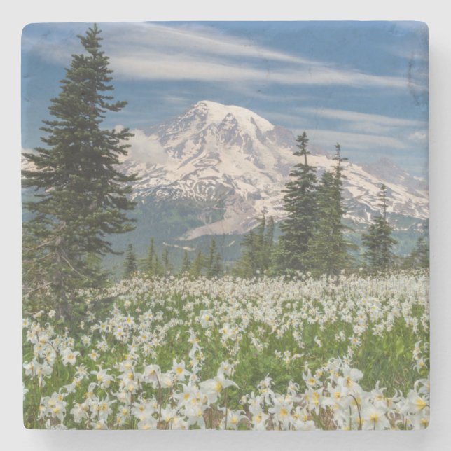 Washington, Mount Rainier National Park 1 Stone Coaster (Front)