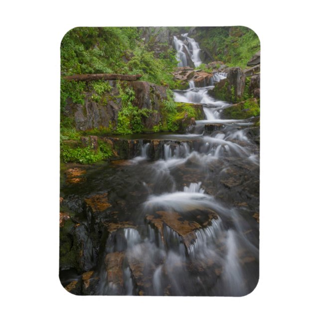 Washington, Mount Rainier National Park 2 Magnet (Vertical)