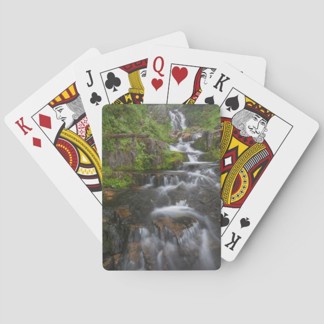 Washington, Mount Rainier National Park 2 Playing Cards (Back)