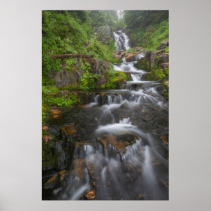 Washington, Mount Rainier National Park 2 Poster