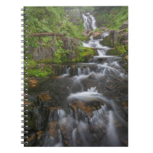Washington, Mount Rainier National Park 2 Spiral Notebook