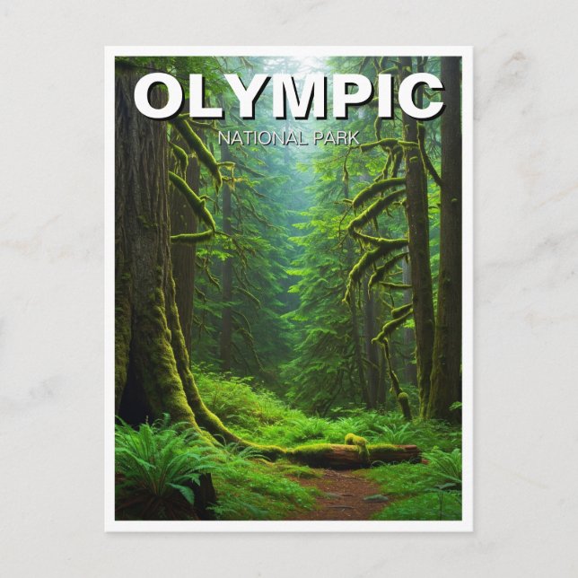 Washington olympic national park hoh rainforest postcard (Front)
