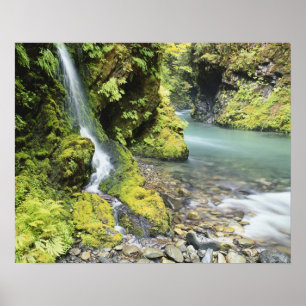 Washington, Olympic National Park, Seasonal Poster