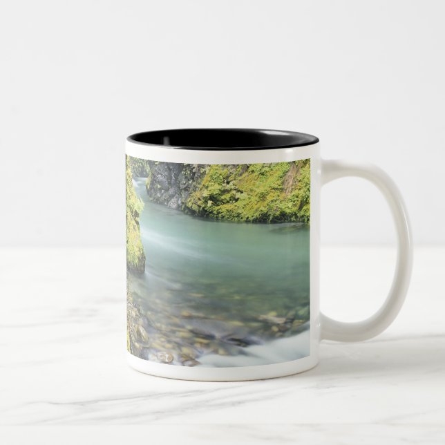 Washington, Olympic National Park, Seasonal Two-Tone Coffee Mug (Right)