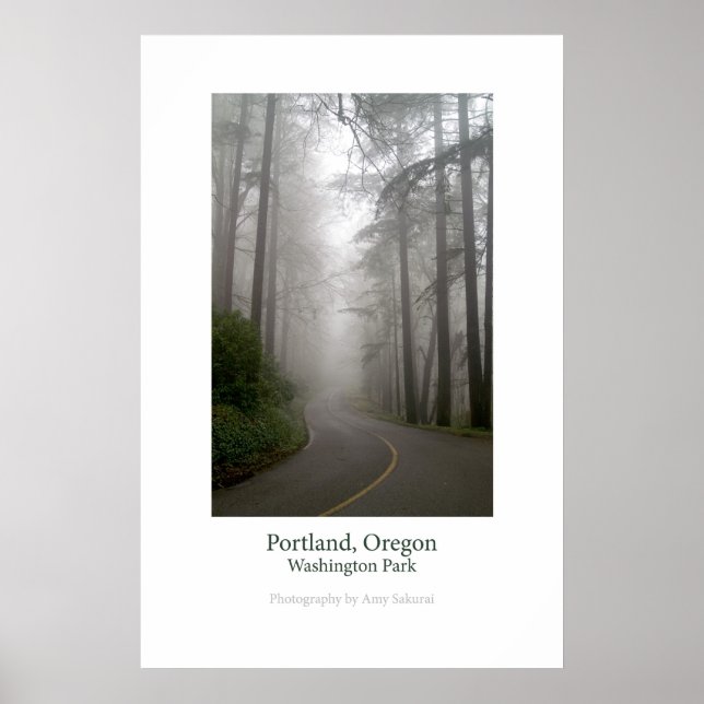 Washington Park Poster (Front)