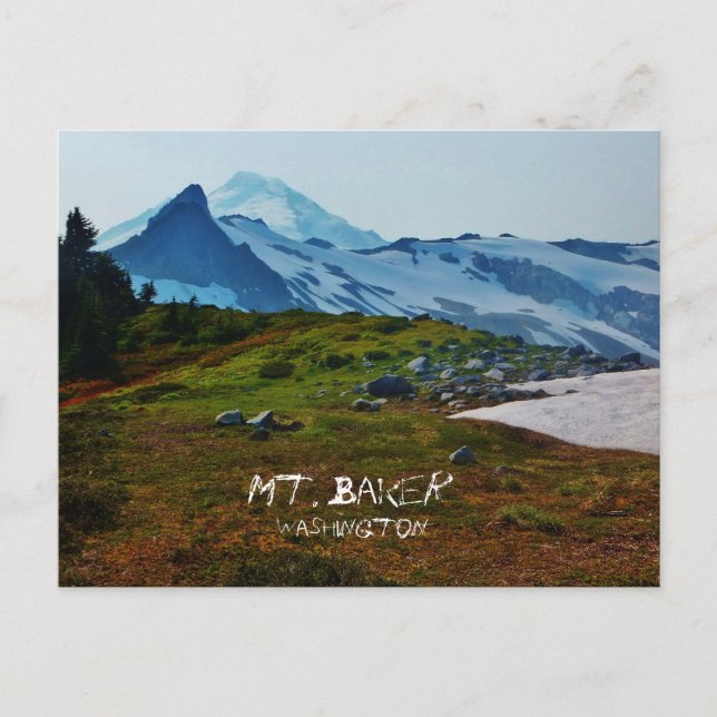 Washington Postcard (Front)