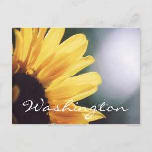 Washington Postcard Sunflower Template