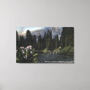 Washington - Rainier National Park, Shooting Sta Canvas Print