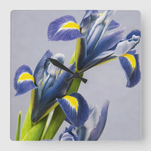 Washington, Redmond, Purple Irises Square Wall Clock