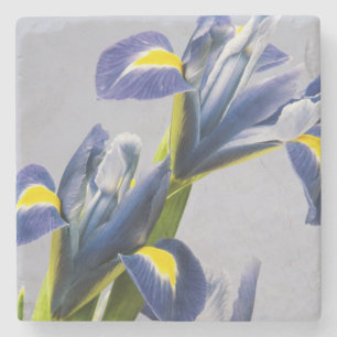 Washington, Redmond, Purple Irises Stone Coaster