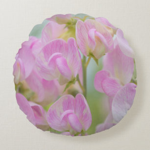 Washington, Seabeck. Detail of sweet pea Round Cushion