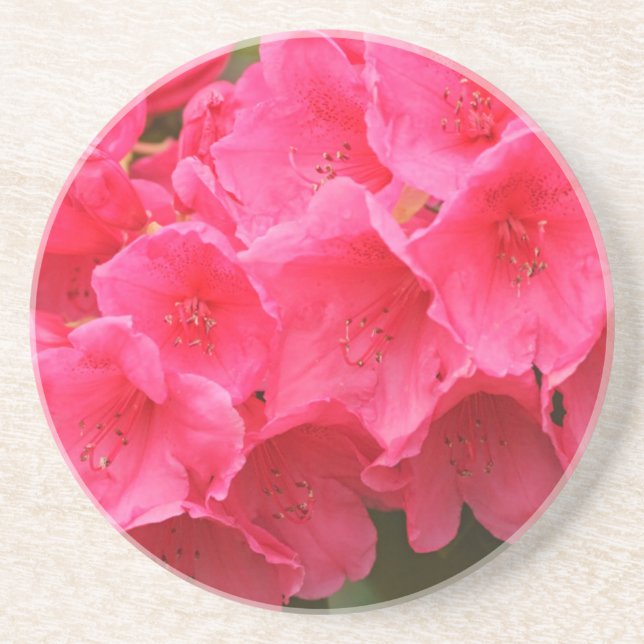 Washington, Seattle, Puget Sound, Discovery Park Coaster (Front)